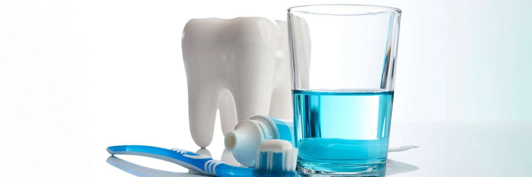 tooth model and oral essentials in Lakeland FL