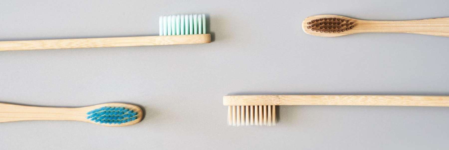 Clean manual toothbrushes in Florida